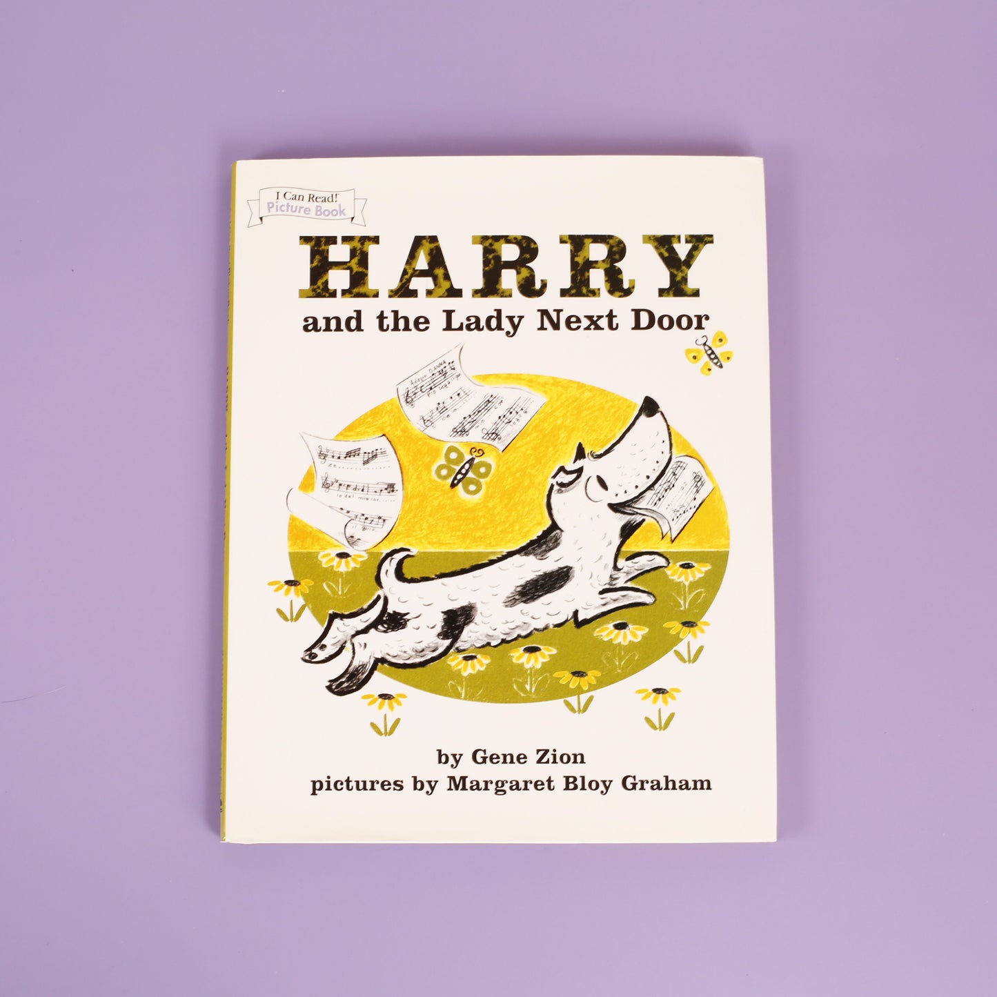 Harry and the Lady Next Door