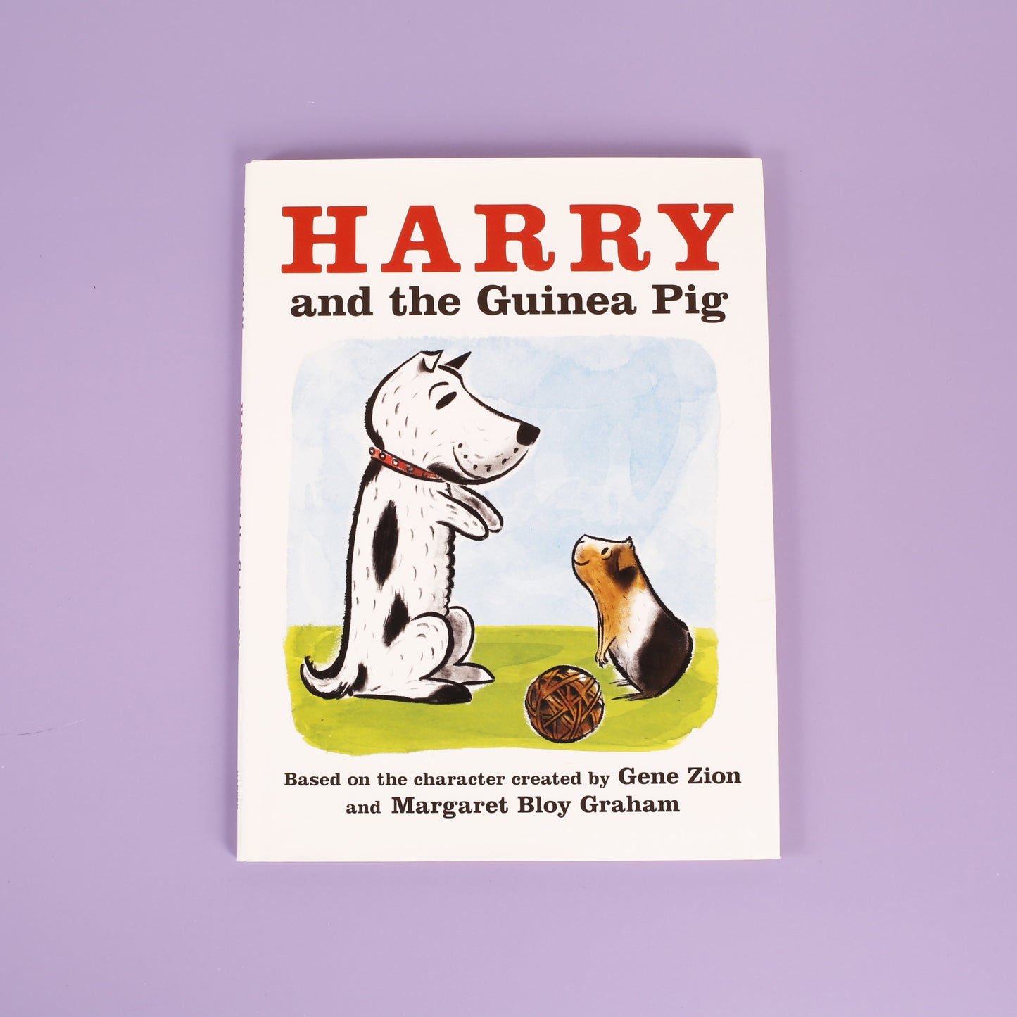 Harry and the Guinea Pig