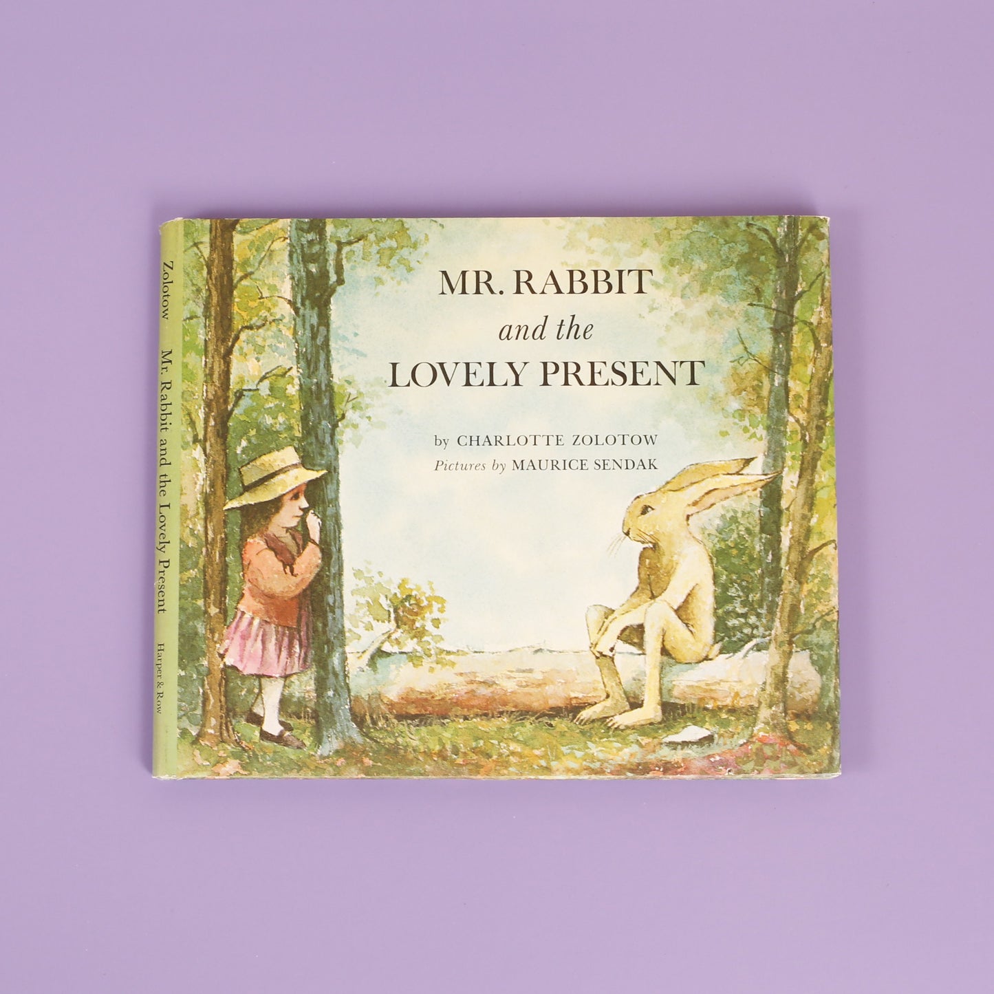 Mr. Rabbit and the Lovely Present