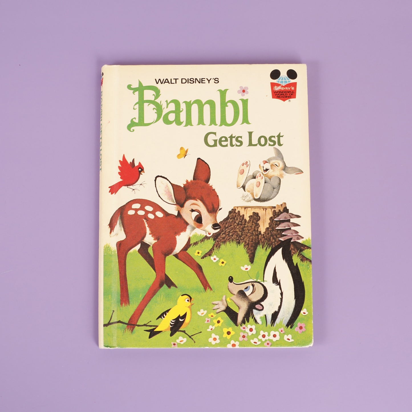 Disney's Wonderful World of Reading Series — VARIOUS