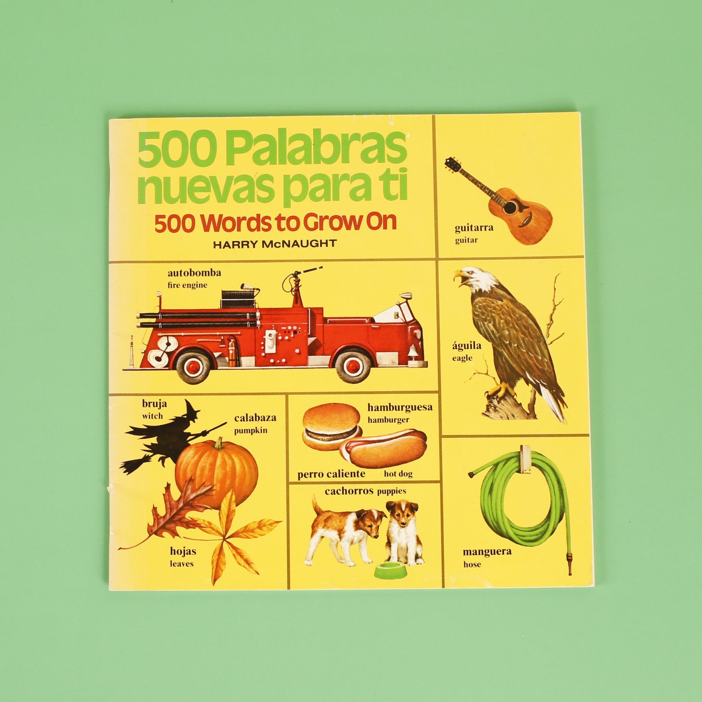 500 Palabras Nuevas Para Ti (500 Words to Grow on–Spanish)