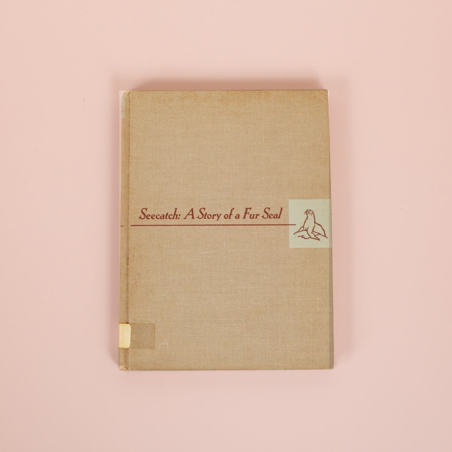 Seecatch: A Story of a Fur Seal