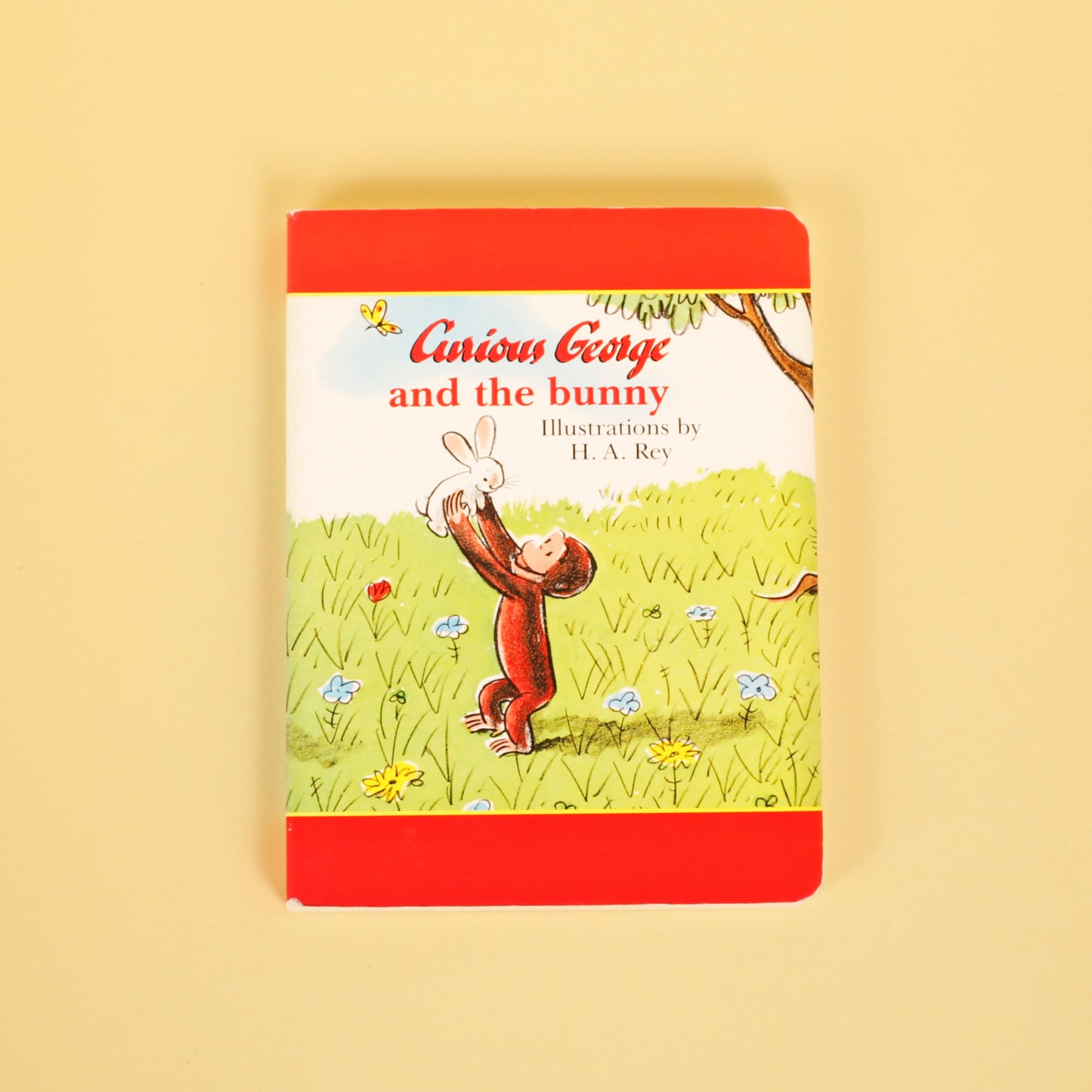 Curious George and the Bunny