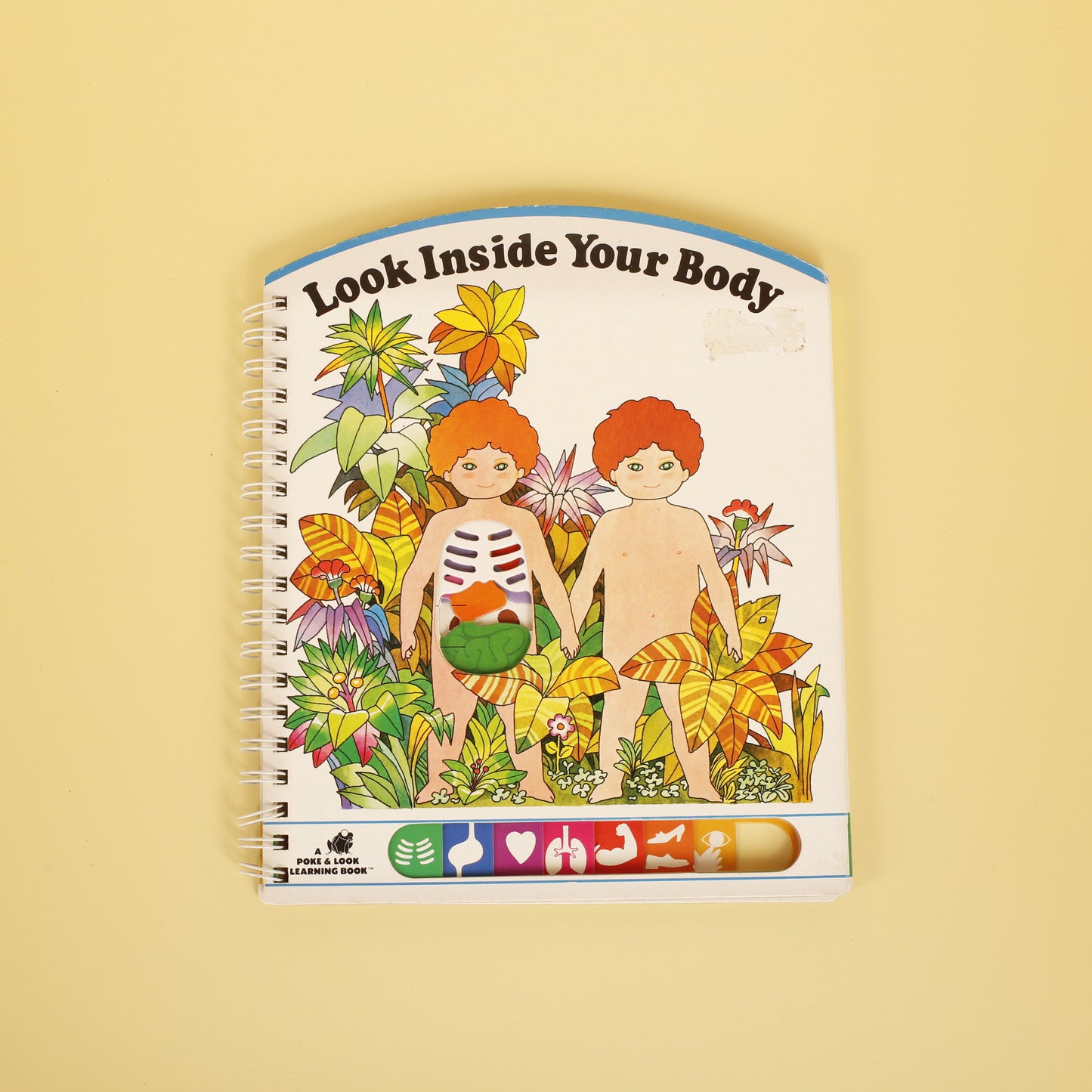 Look Inside Your Body (Poke & Look Learning Book™)
