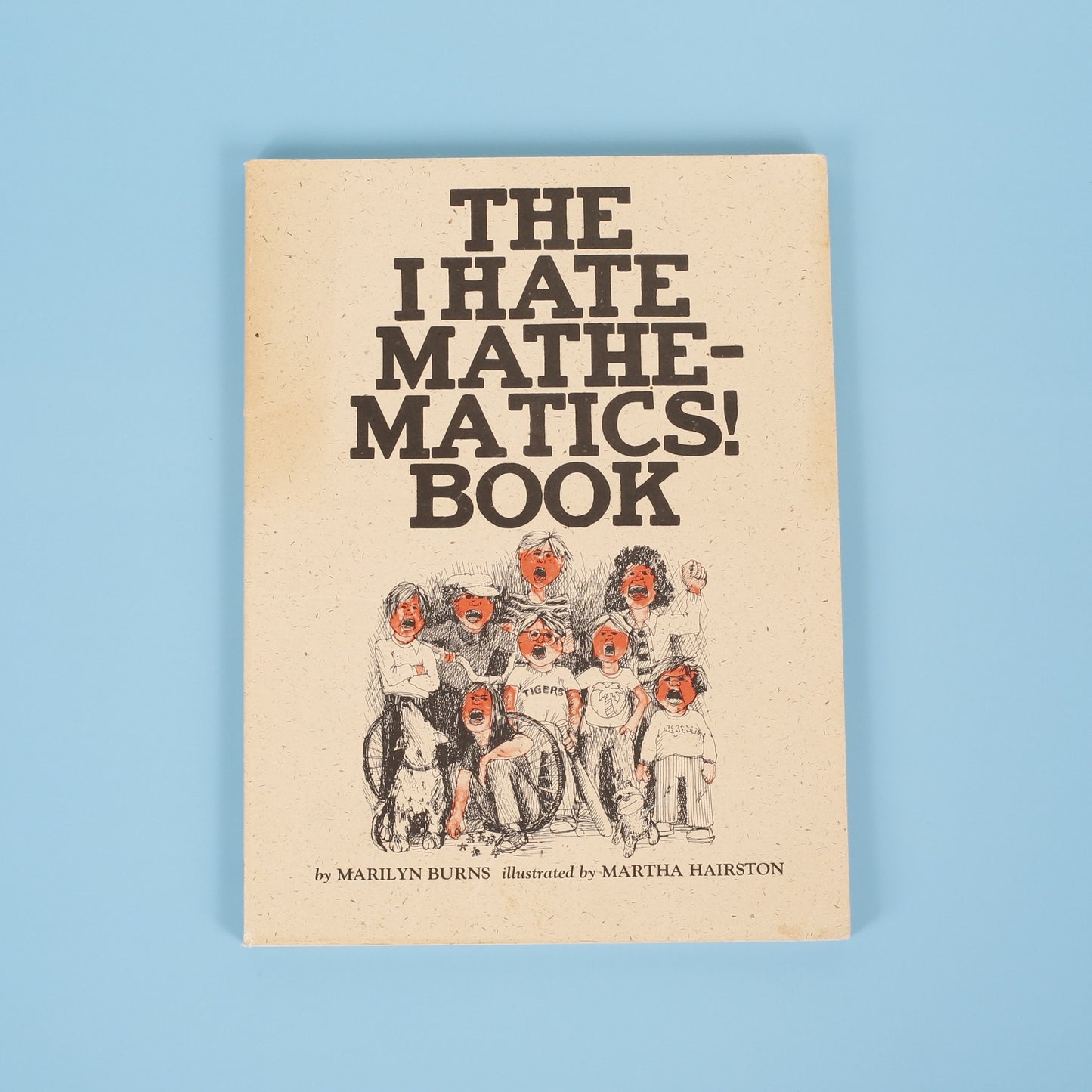 The I Hate Mathematics! Book