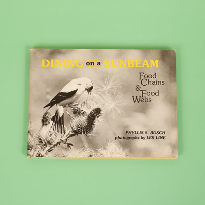 Dining on a Sunbeam: Food Chains & Food Webs