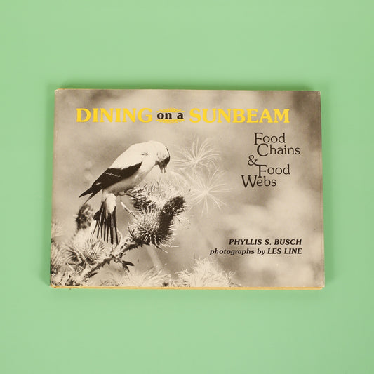 Dining on a Sunbeam: Food Chains & Food Webs