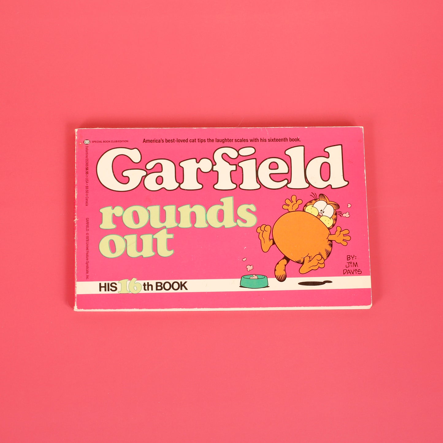 Garfield Rounds Out, #16