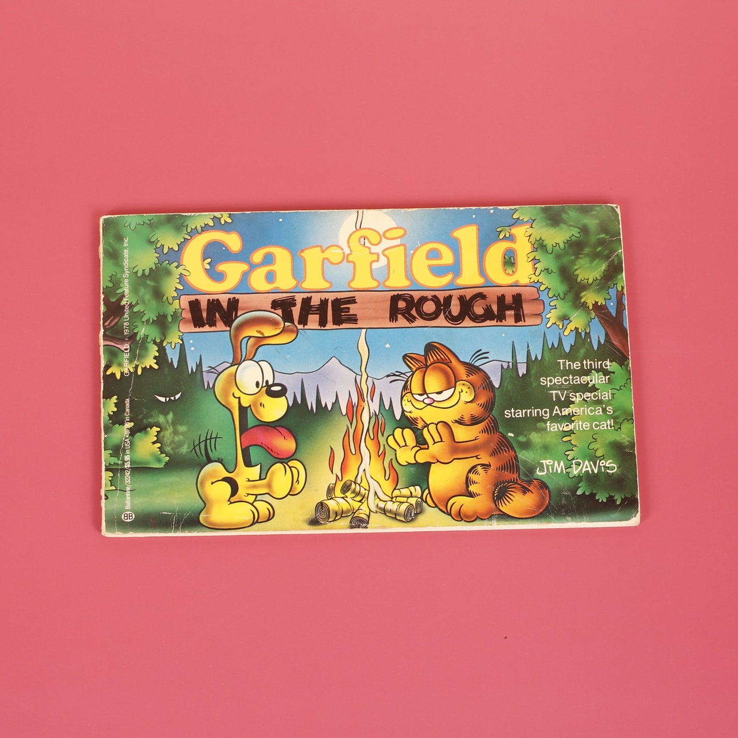 Garfield in the Rough