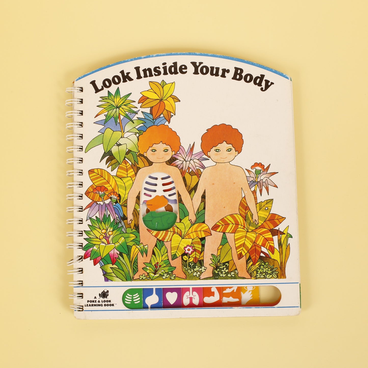 Look Inside Your Body (Poke & Look Learning Book™)