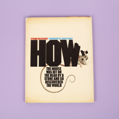 How the Mouse Was Hit on the Head by a Stone and so Discovered the World