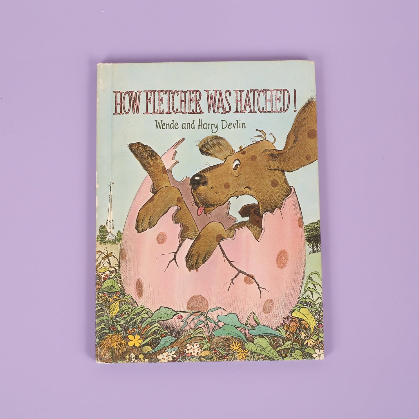 How Fletcher was Hatched!
