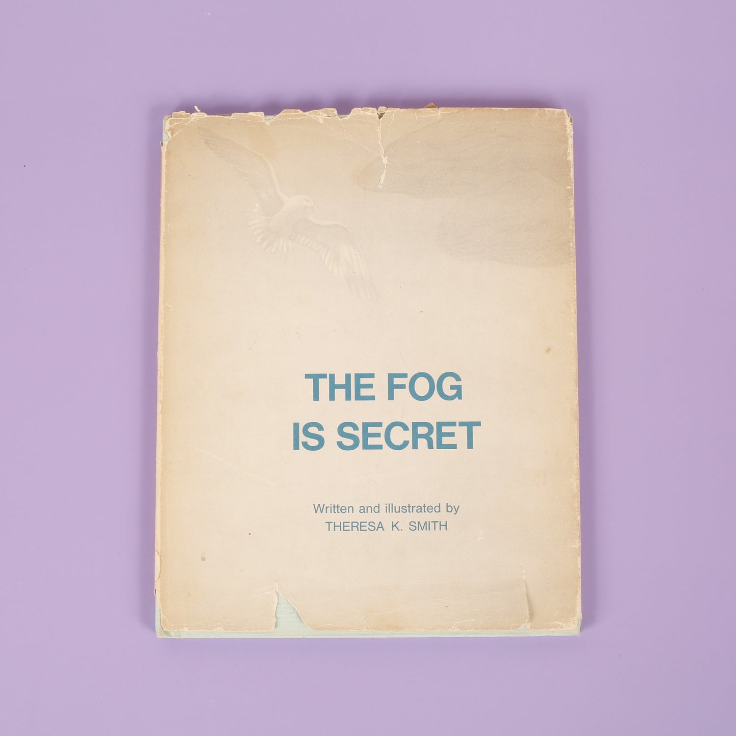 The Fog is Secret