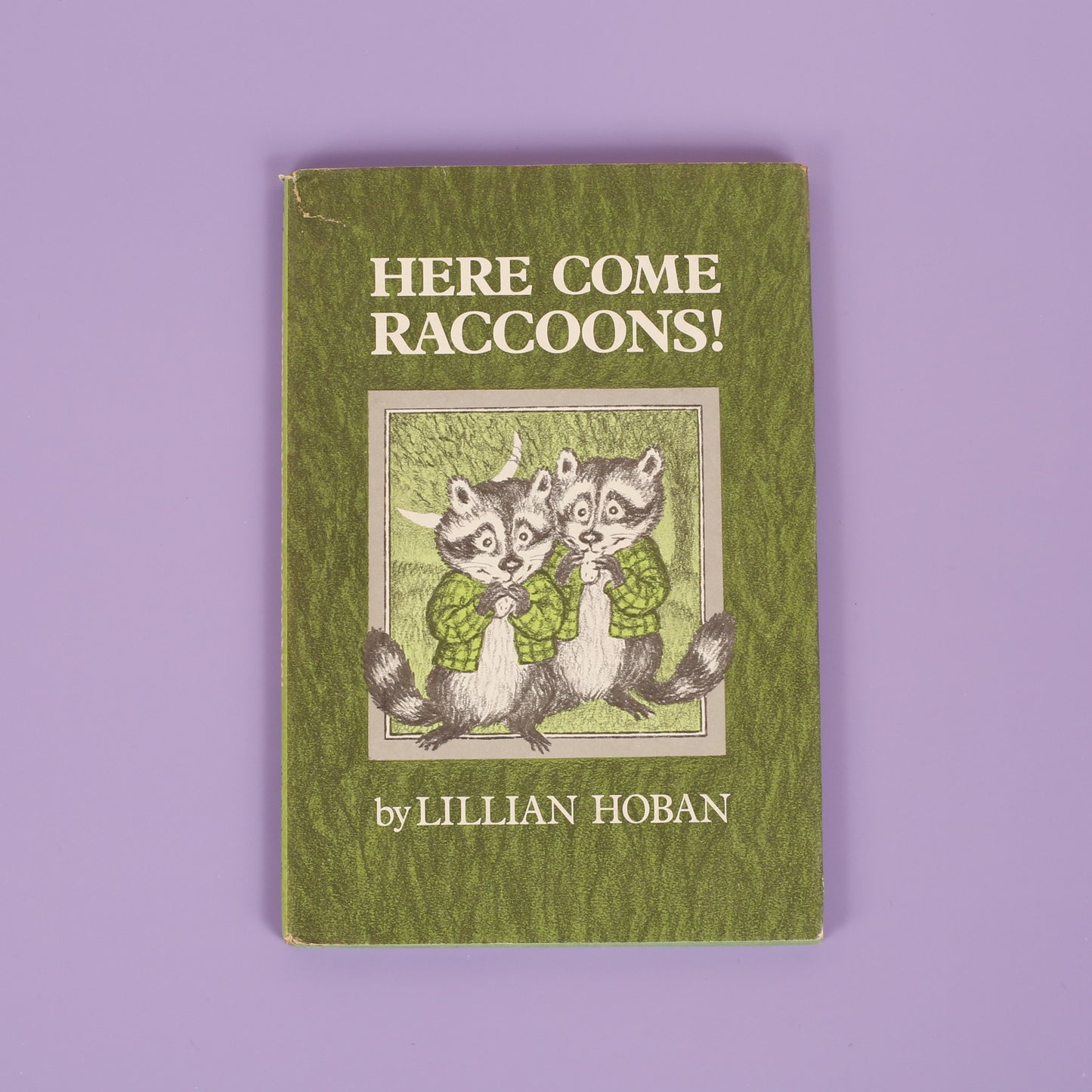 Here Come Raccoons!