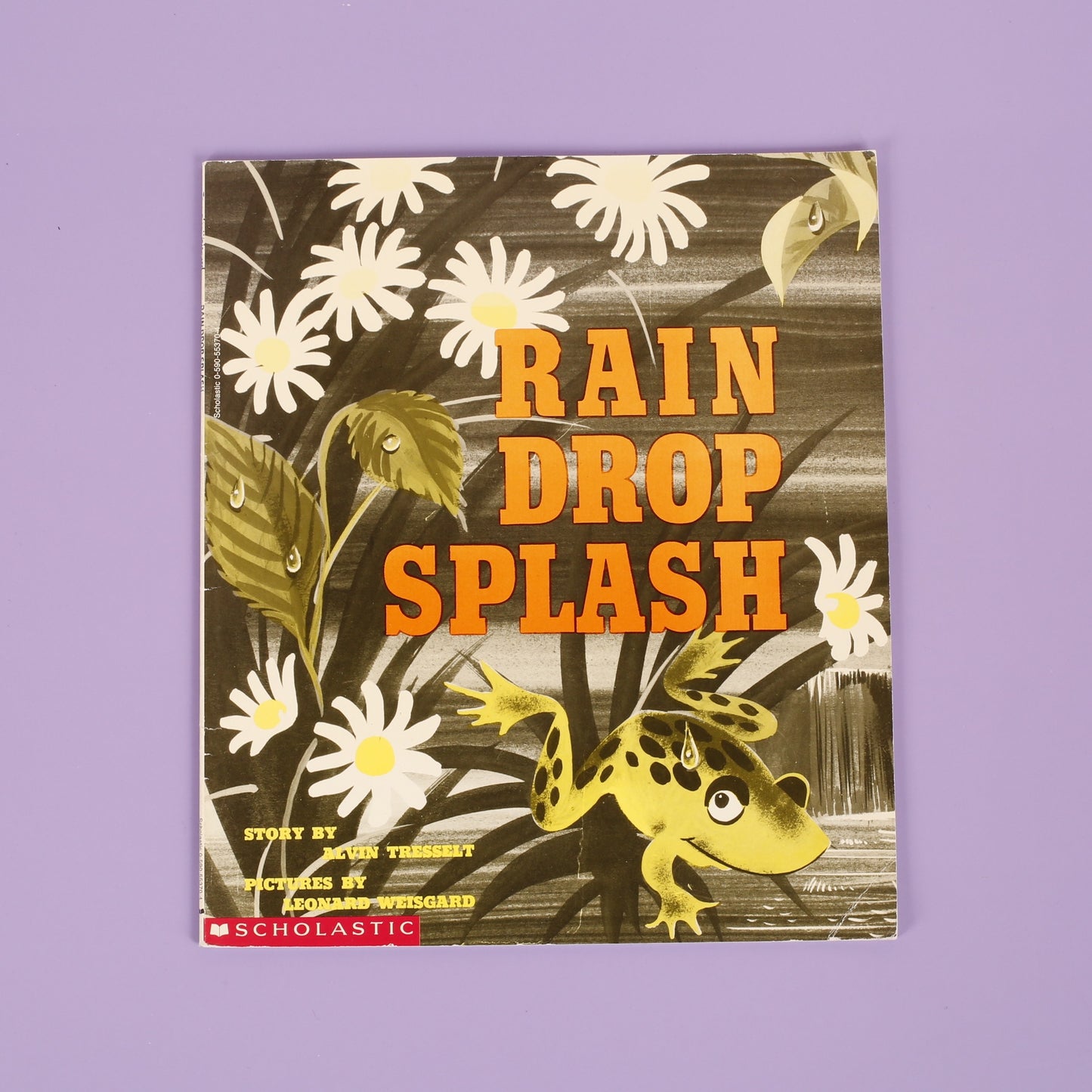 Rain Drop Splash