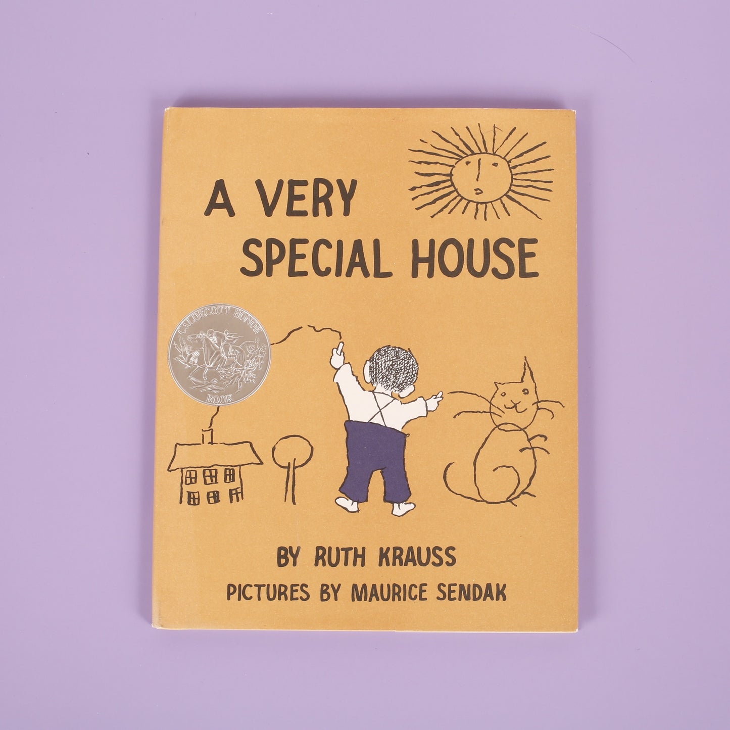 A Very Special House