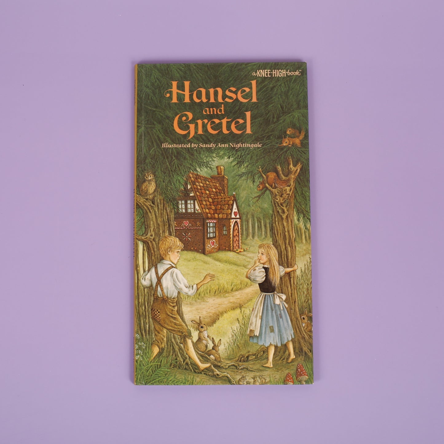Hansel and Gretel (Knee High Book)