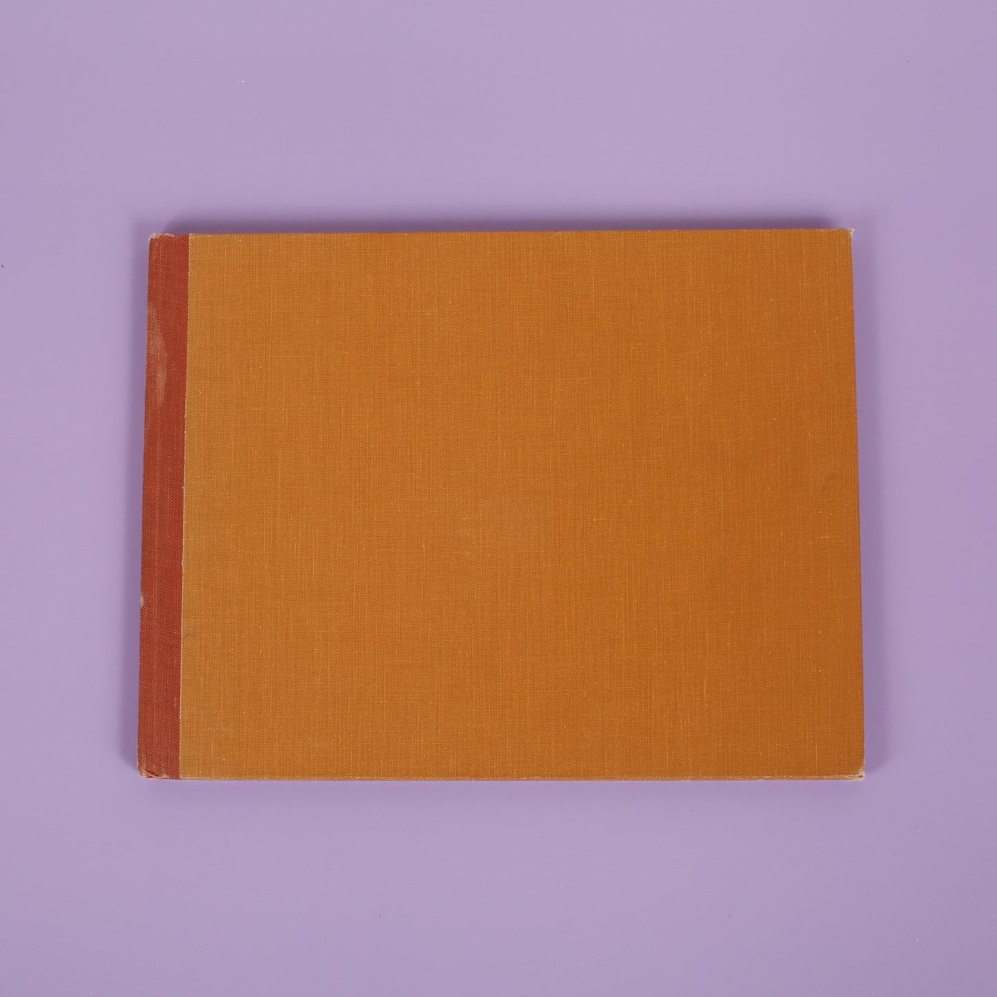 A Chipmunk Lives Here