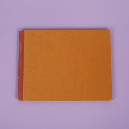 A Chipmunk Lives Here