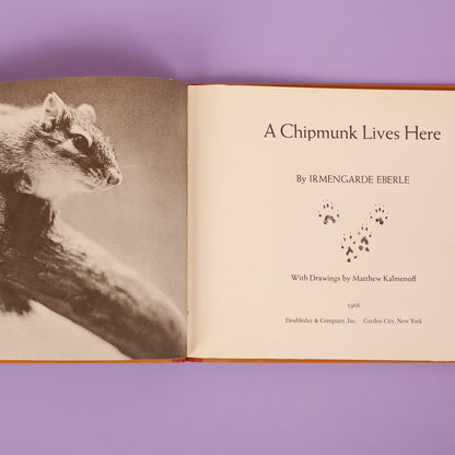 A Chipmunk Lives Here