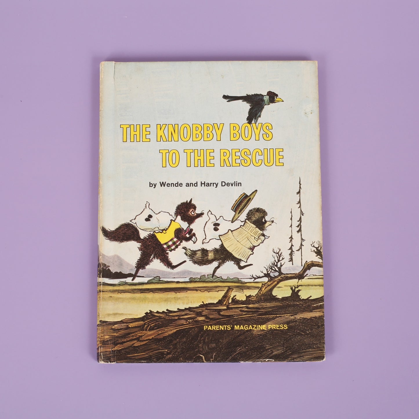 The Knobby Boys to the Rescue
