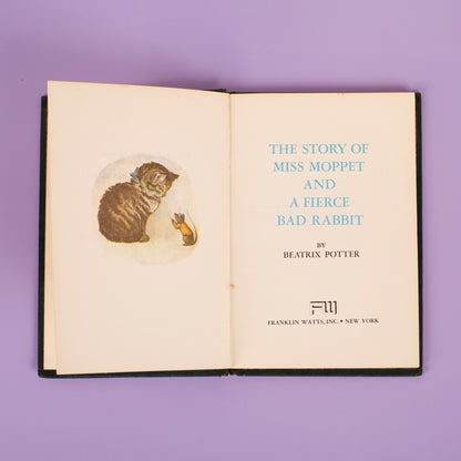The Story of Miss Moppet and a Fierce Bad Rabbit