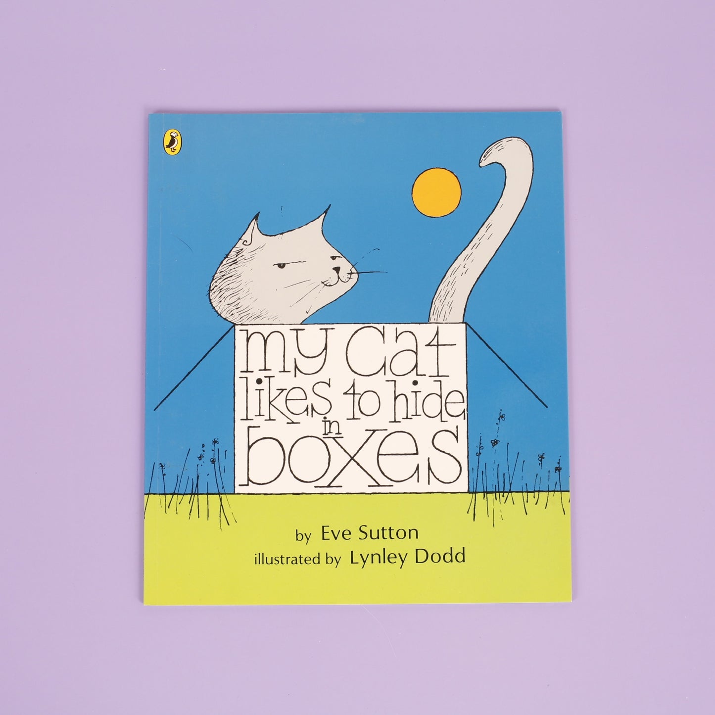 My Cat Likes to Hide in Boxes