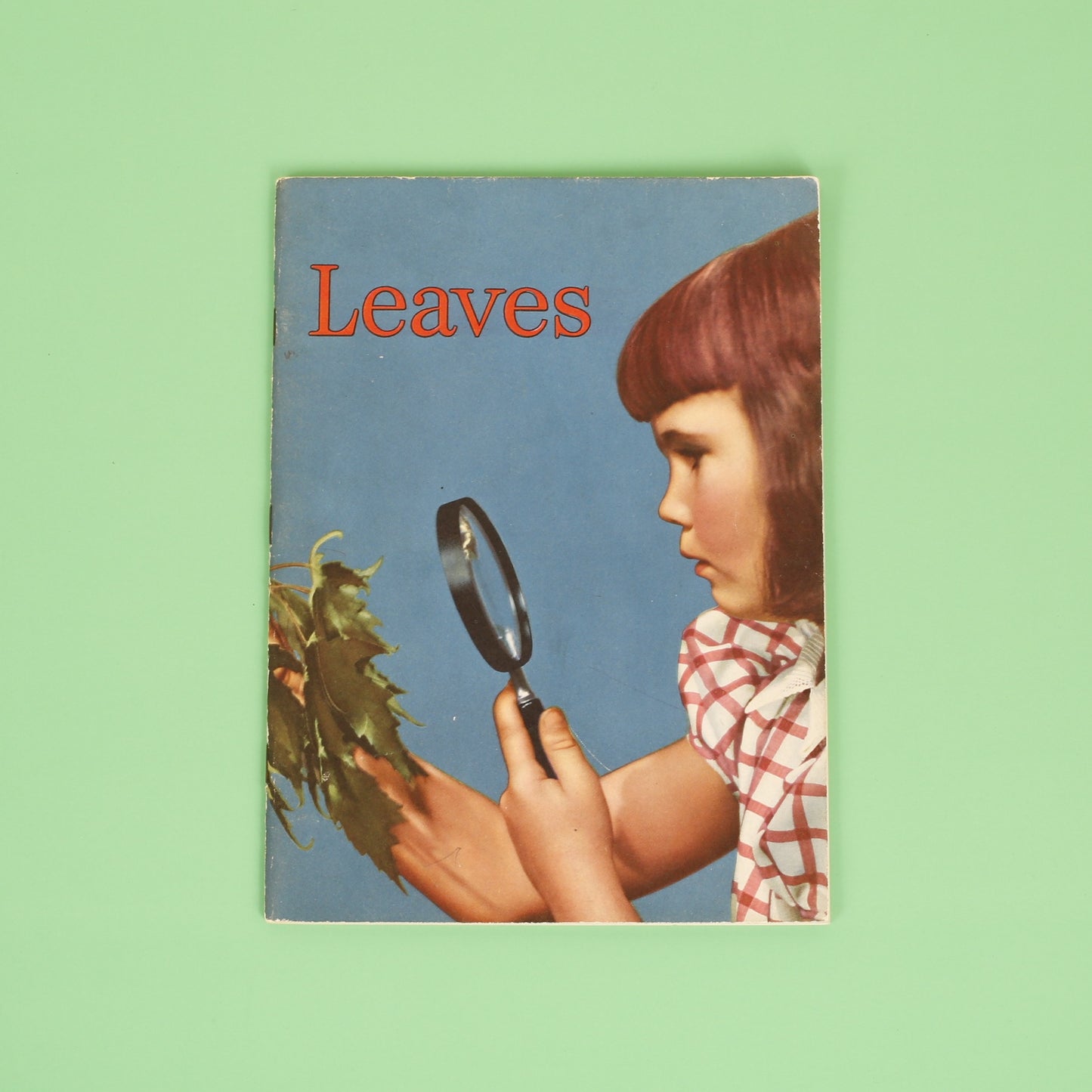 Leaves