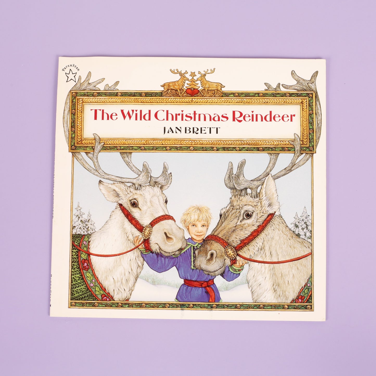 The Wild Christmas Reindeer