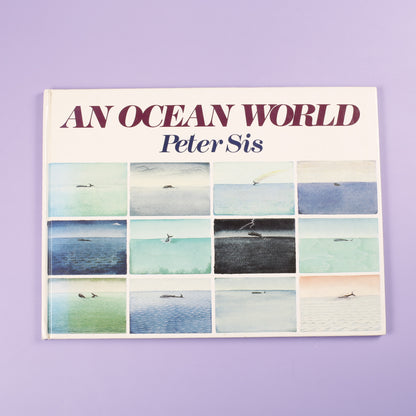 An Ocean World