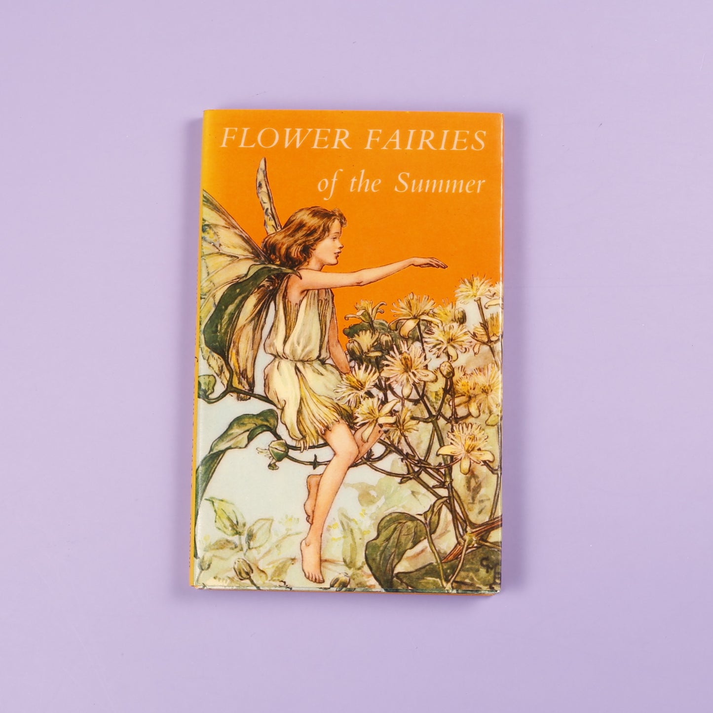 Flower Fairies of the Summer