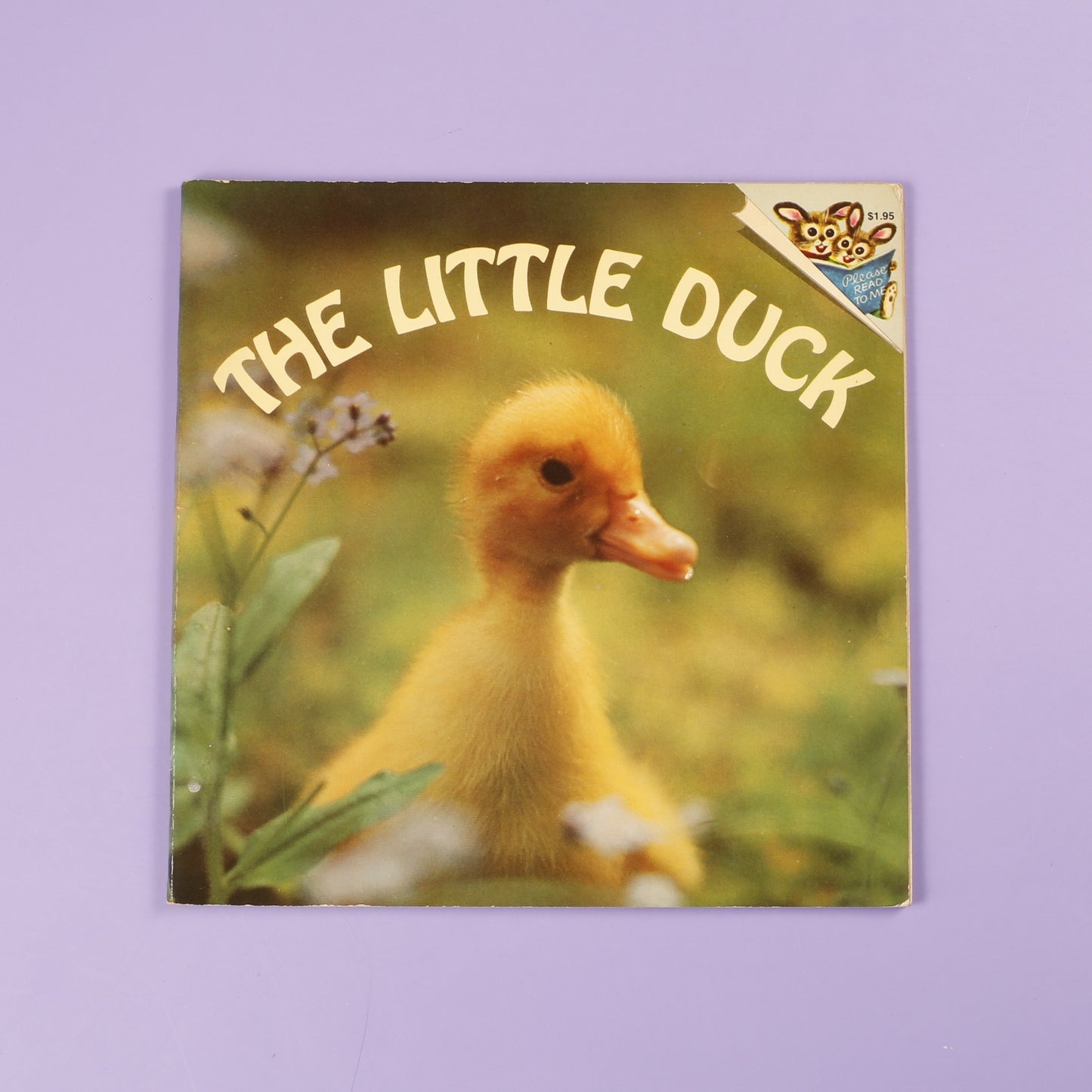 The Little Duck