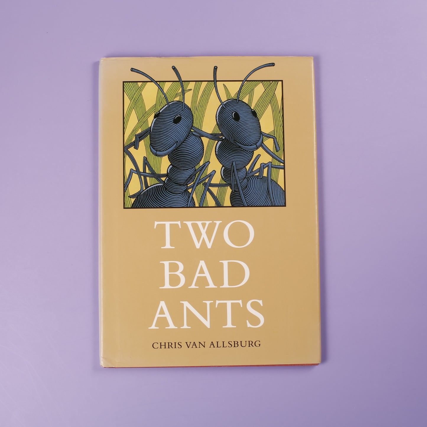 Two Bad Ants