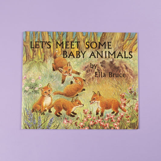 Let's Meet Some Baby Animals