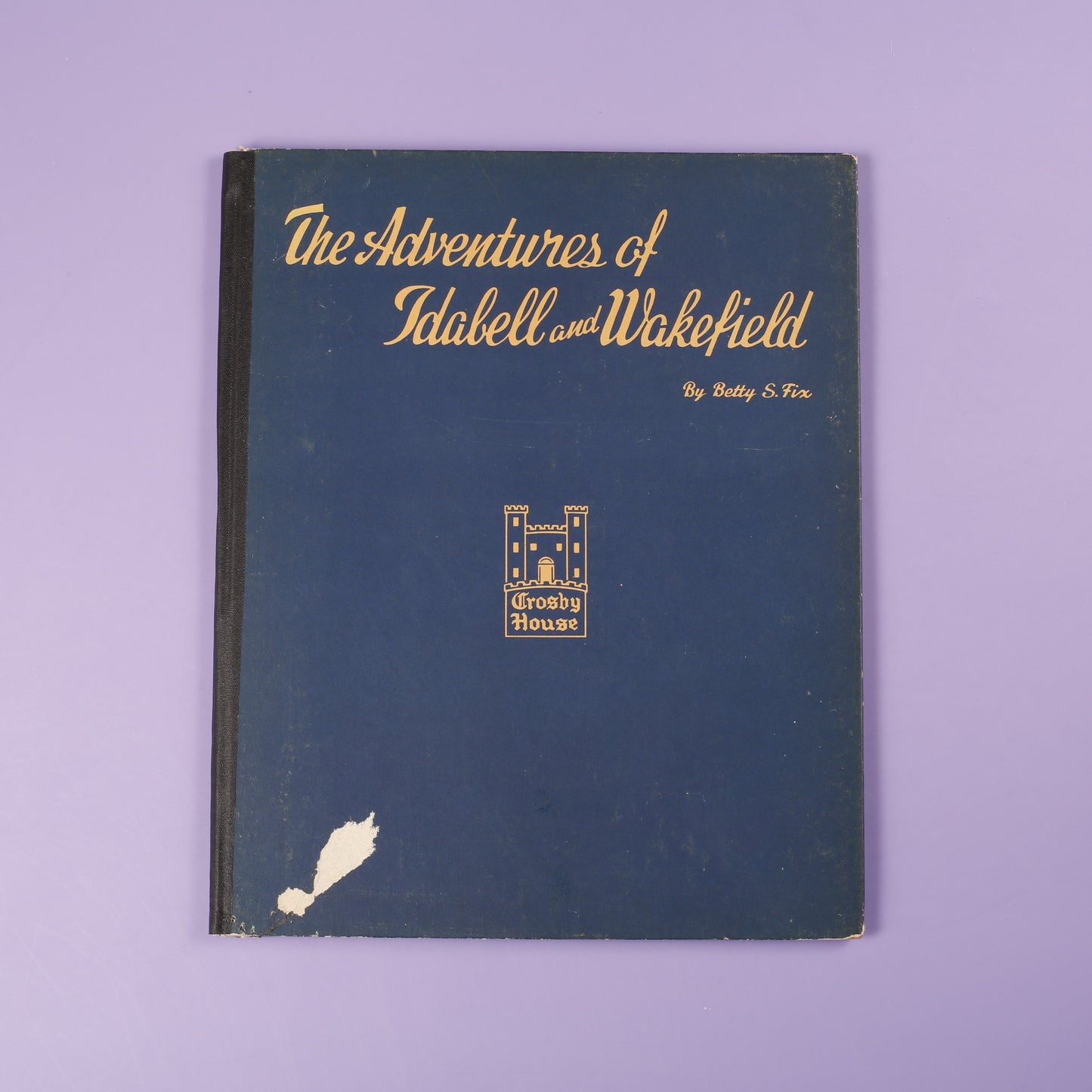 The Adventures of Idabell and Wakefield: What Would You Do?