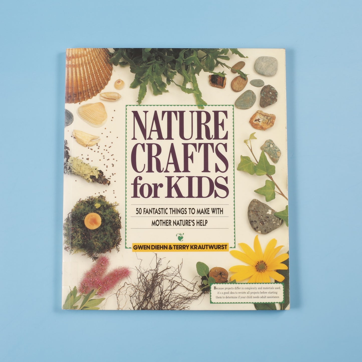 Nature Crafts for Kids