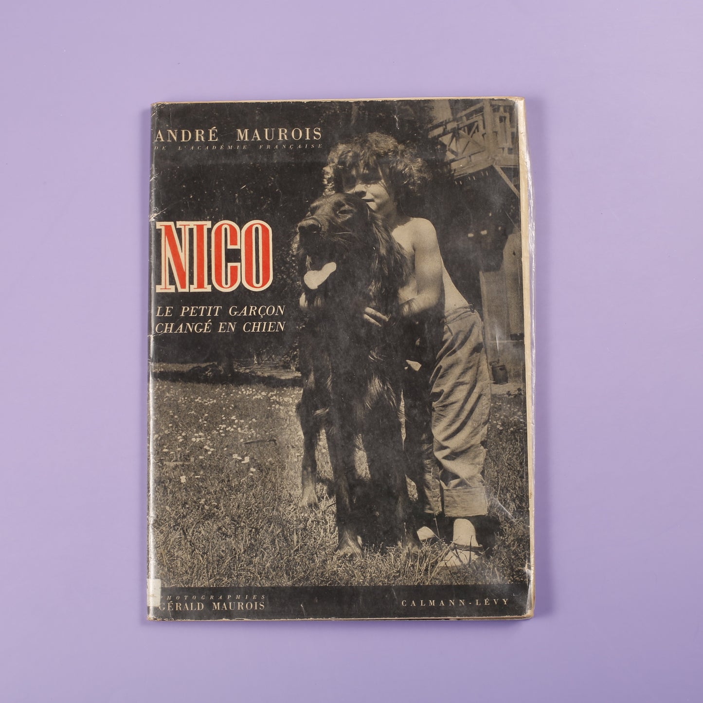 Nico: Le Petit Garçon Changé en Chien
