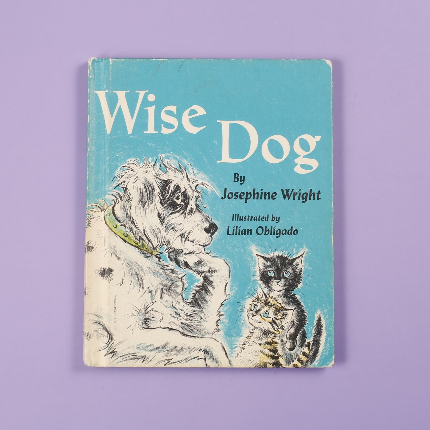 Wise Dog