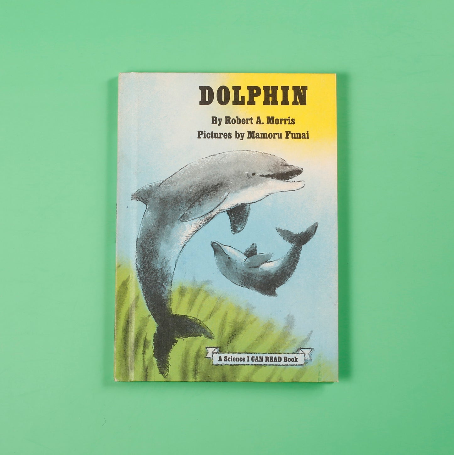 Dolphin