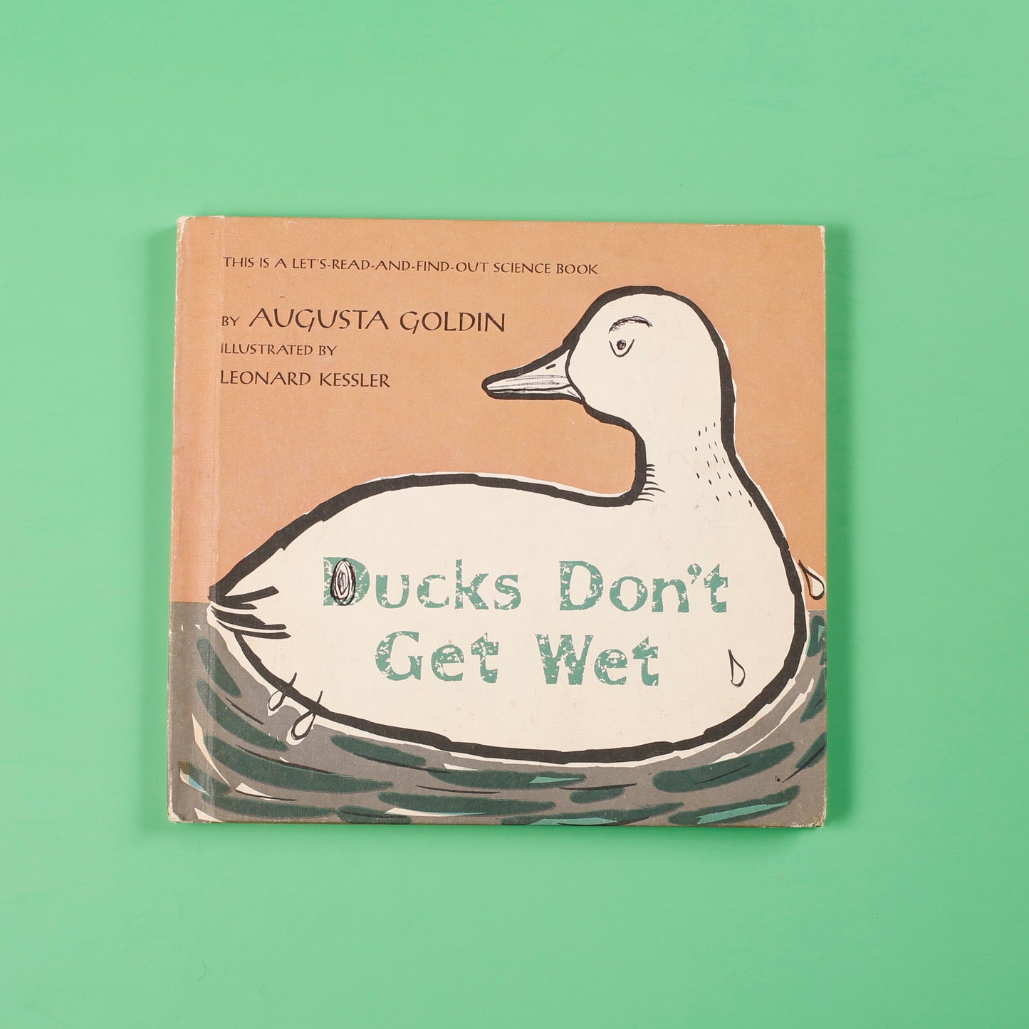 Ducks Don't Get Wet
