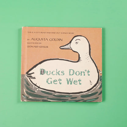 Ducks Don't Get Wet