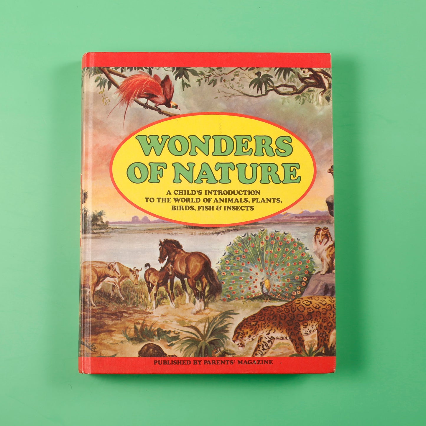 Wonders of Nature: A Child's Introduction to the World of Animals, Plants, Birds, Fish & Insects