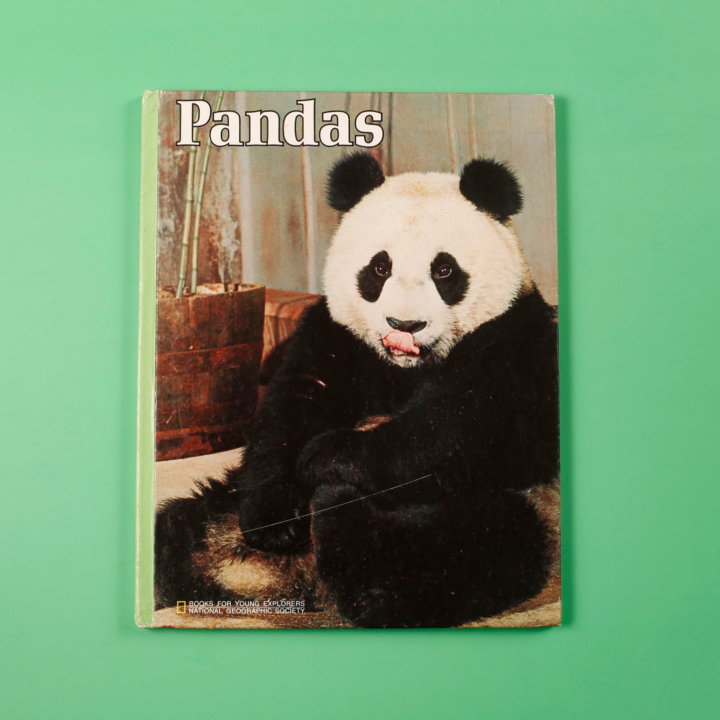 Pandas (National Geographic Books for Young Explorers)