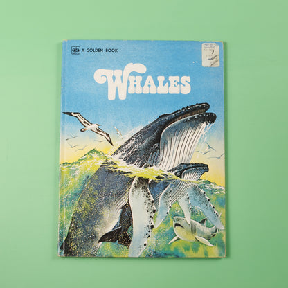 Whales
