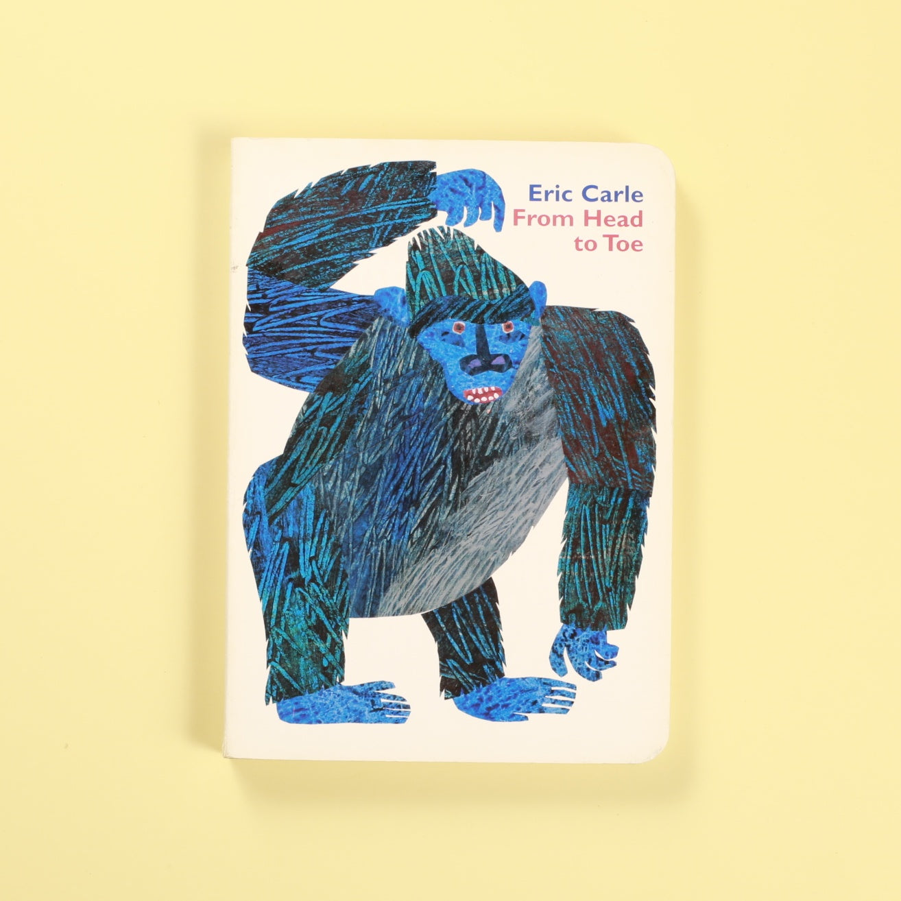 From Head to Toe Board Book