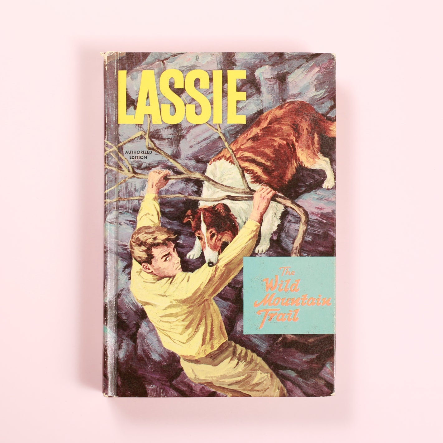 Lassie: The Wild Mountain Trail