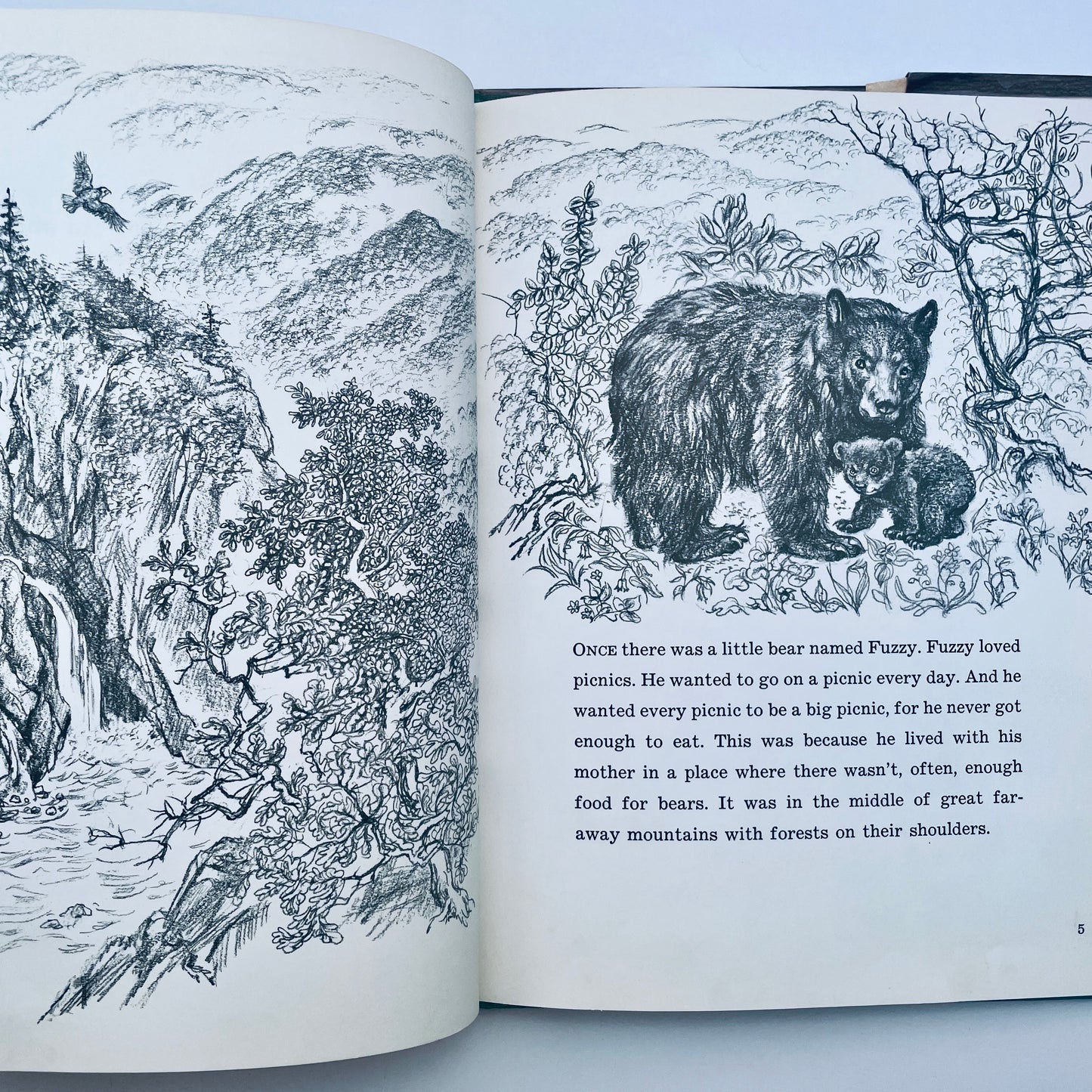 The Picnic Bear