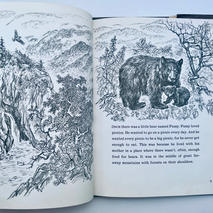 The Picnic Bear