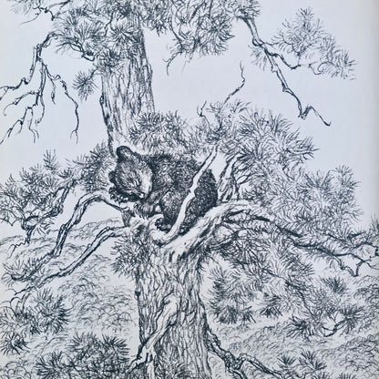 The Picnic Bear