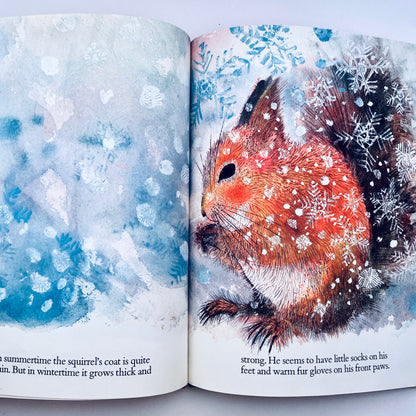 Squirrels